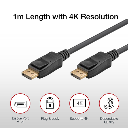 Shintaro 1m DisplayPort to DisplayPort Cable | Black | SH-DPDP-1M