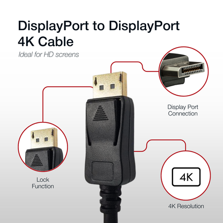 Shintaro 1m DisplayPort to DisplayPort Cable | Black | SH-DPDP-1M